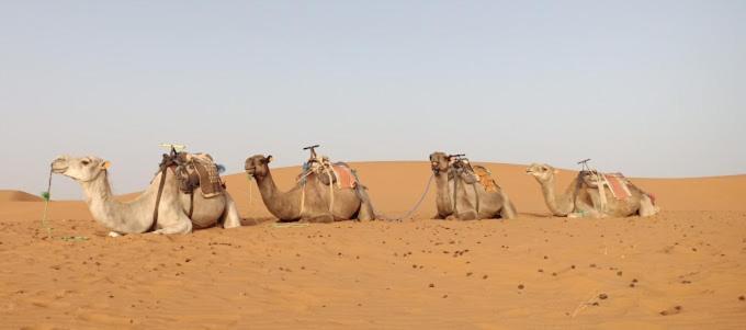 Kasbah Hotel Panorama 메르주가 외부 사진